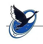 Osho International